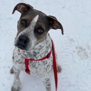 Meet your Posher, Rebecca